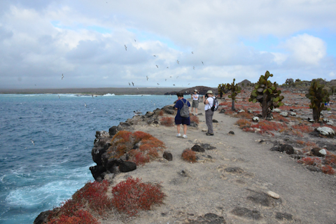 The travels of Beth and Steve: Our adventure to Galapagos Islands Adventure! from 2014
